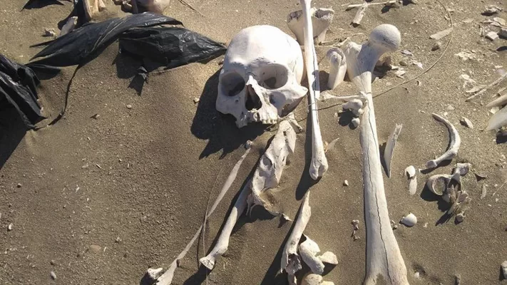 Hallazgo de huesos en Cerro Avanzado: Cenpat dio a conocer los resultados
