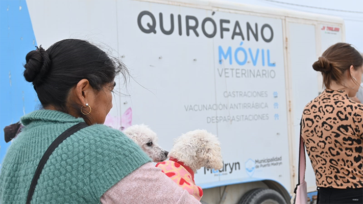 Etiquetas: campaña, mascotas, noticias