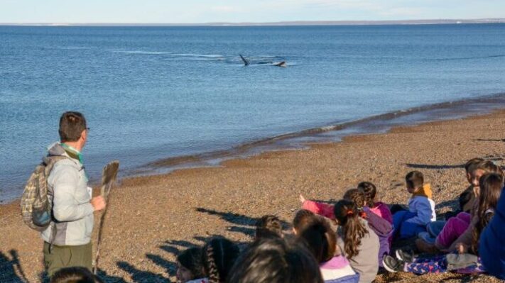 Casi 2.000 chicos de Madryn conocerán a las ballenas en El Doradillo