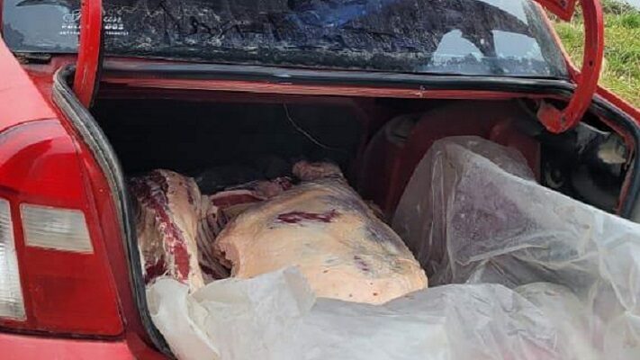 BAUL, Carne, esquel, MEDIA RES, VACA