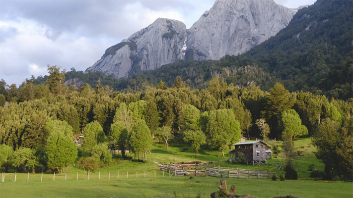 Ecología, noticias