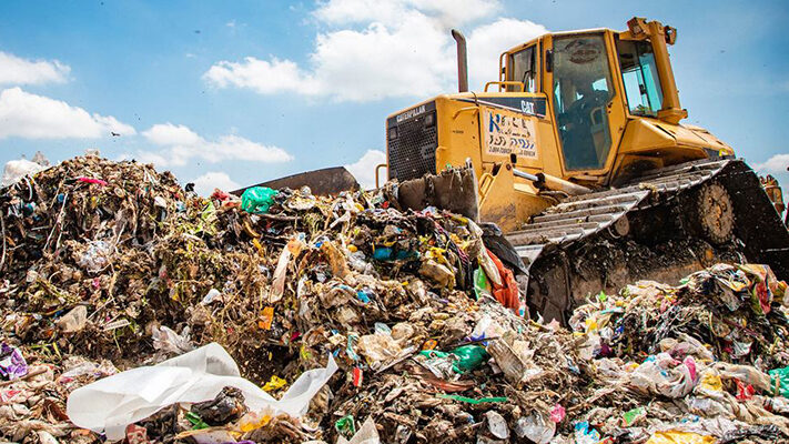 Ecología, noticias