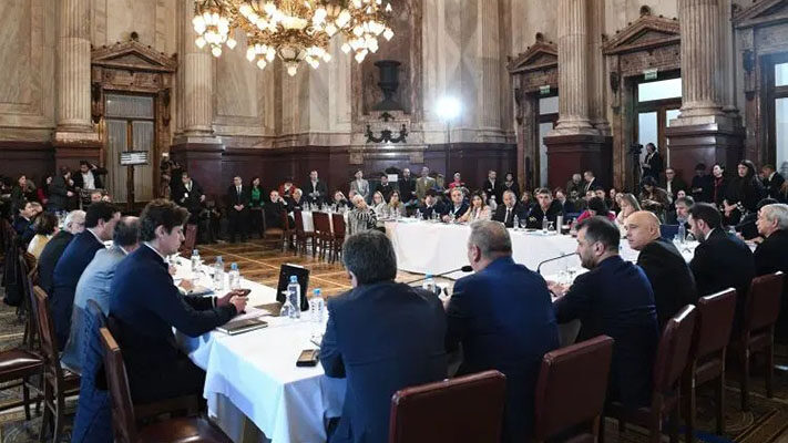 LEY DE BASES, PLENARIO DE COMISIONES, Senado