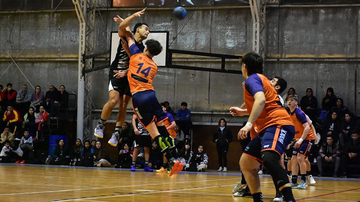 Federación Chubutense de Balonmano, Handball, Torneo Provincial