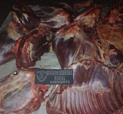 Carne, policía, Sarmiento