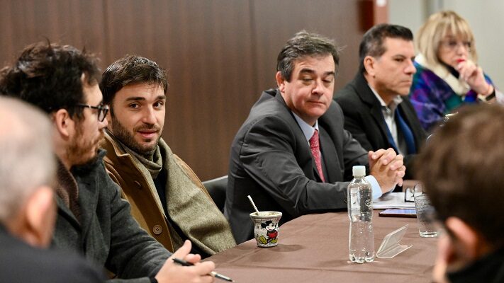 andrés meiszner, CAMMESA, Ignacio Torres
