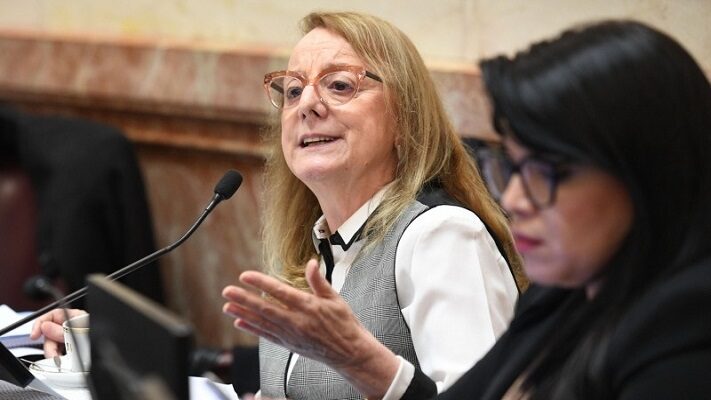 Alicia Kirchner, nueva Ley de Bases, Senado de la Nación
