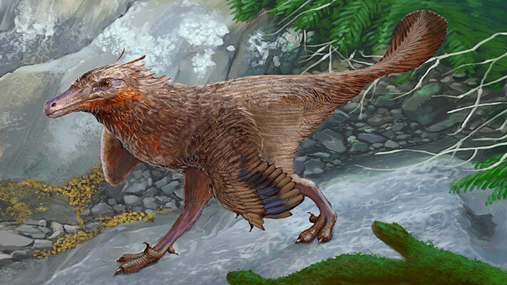 Arqueología, CIENCIA, dinosaurio, Neuquén