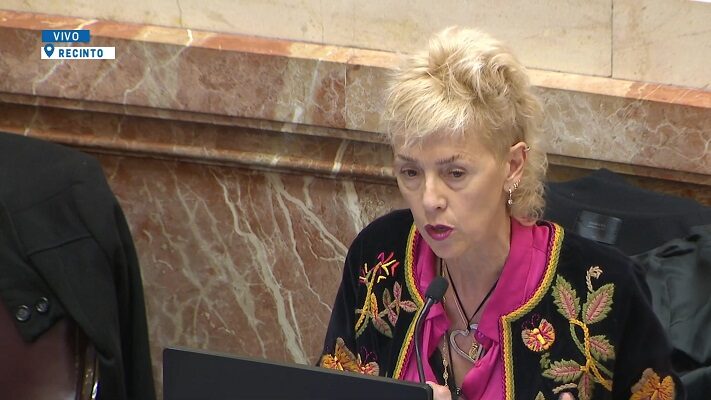 nueva Ley de Bases, Silvina García Larraburu