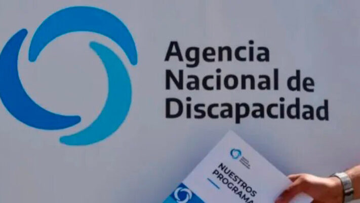 discapacidad, gobierno