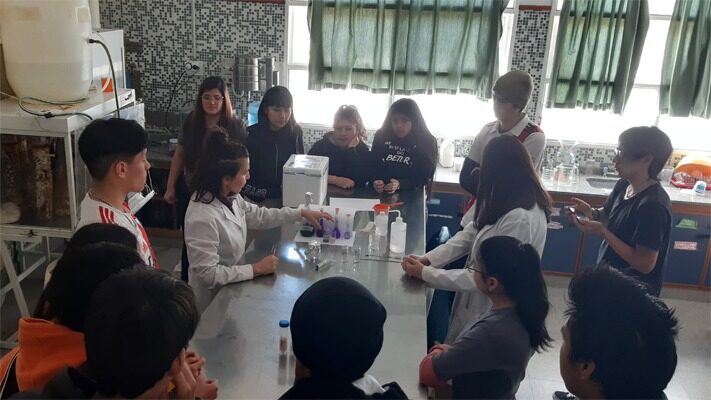 Cenpat, educación, nanotecnologia, noticias