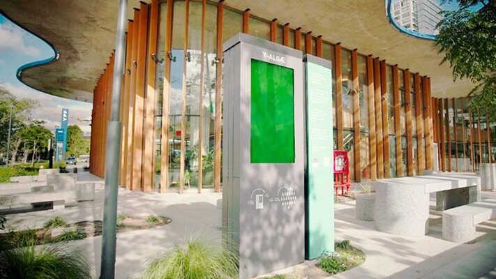 YPF y el Conicet desarrollan dispositivos para purificar el aire en base a microalgas