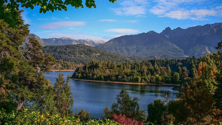 ¿Cómo impacta en la flora de la Patagonia la crisis climática?