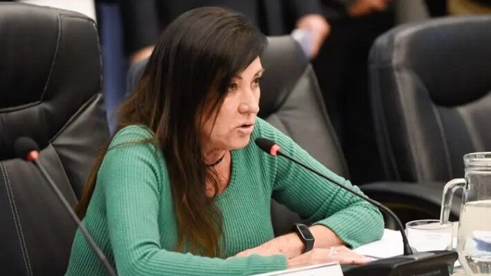 Cámara de Diputados, Ley Antimafias, Ministerio de Seguridad de la Nación