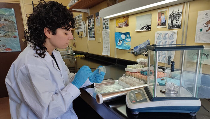 Estudiando a los pingüinos, científicos del Conicet crean un mapa del mar argentino
