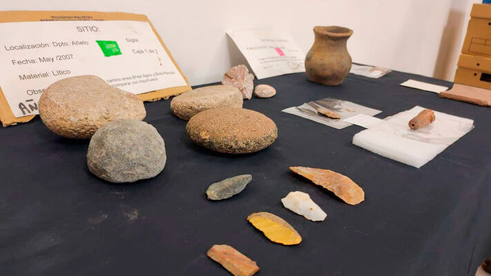 cocodrilo, dinosaurios, fósiles de tortuga, medioambiente, RESTOS FOSILES