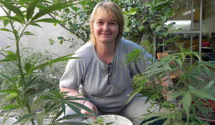 berta thachek, BULLRICH, cannabis medicinal
