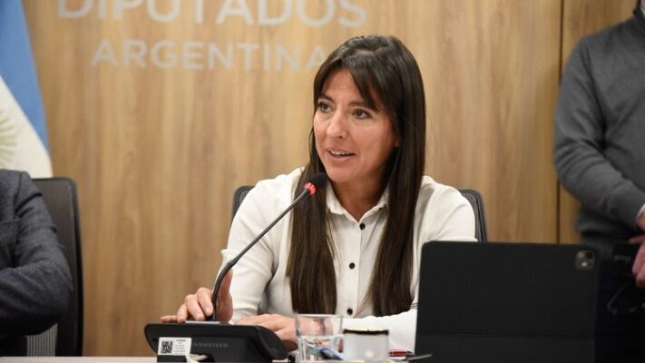 Cámara de Diputados, subsidios al transporte
