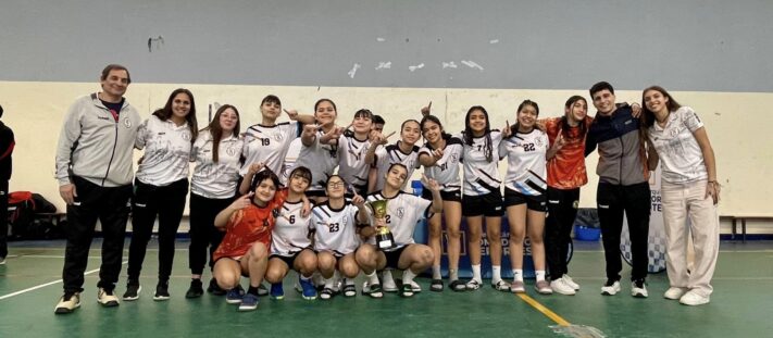 Federación Chubutense de Balonmano, Handbal, Menores, Torneo Provincial de Handball