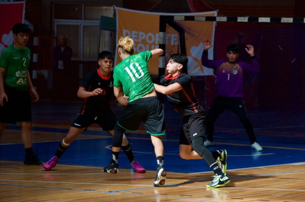 chubut, Federación Chubutense de Balonmano, Handball, Torneo Provincial