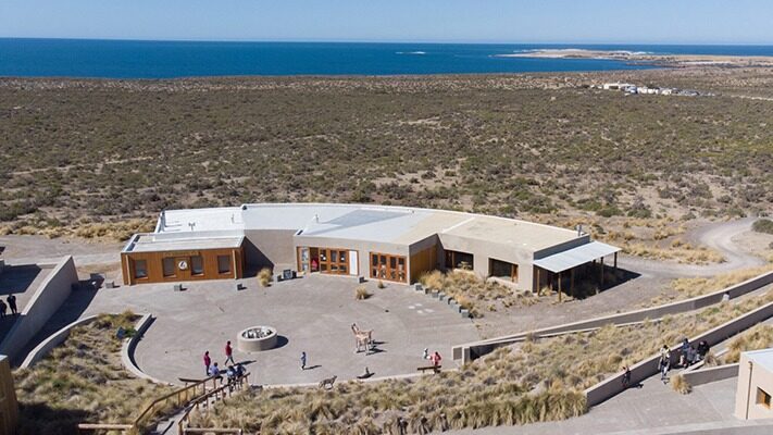 enfermería, noticias, primeros auxilios, Punta Tombo, turismo