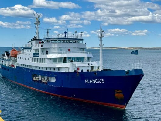 cruceros, Madryn, Plancius, temporada