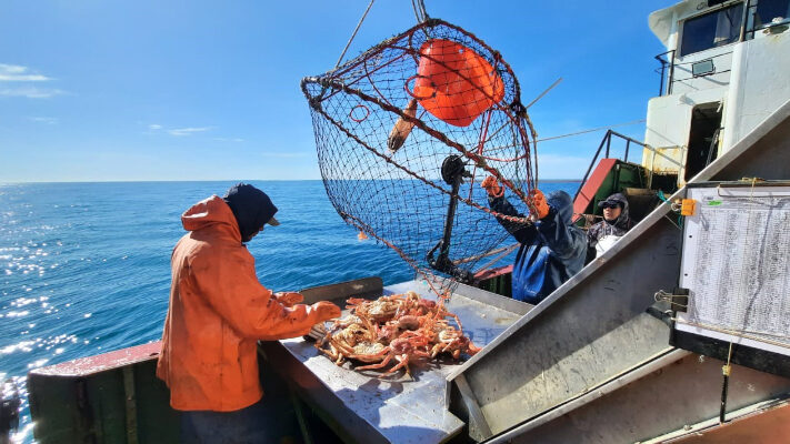 Etiquetas: CENTOLLA, CIENCIA, INIDEP, noticias, Pesca, producción
