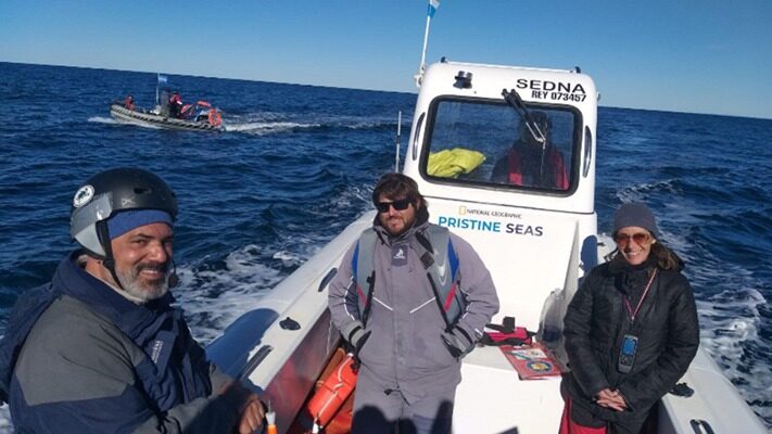 ballenas, Cenpat, cetaceos, CIENCIA, noticias, orcas, peninsula, UNPSJB
