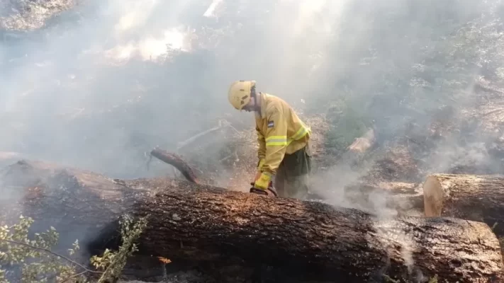 bomberos, cordillera, estival, incendios, verano