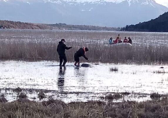 Cholila, chubut, Lago Lezana, turista