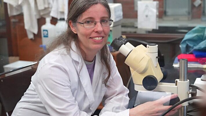 CIENCIA, dengue, mosquitos, noticias, salud, Wolbachia
