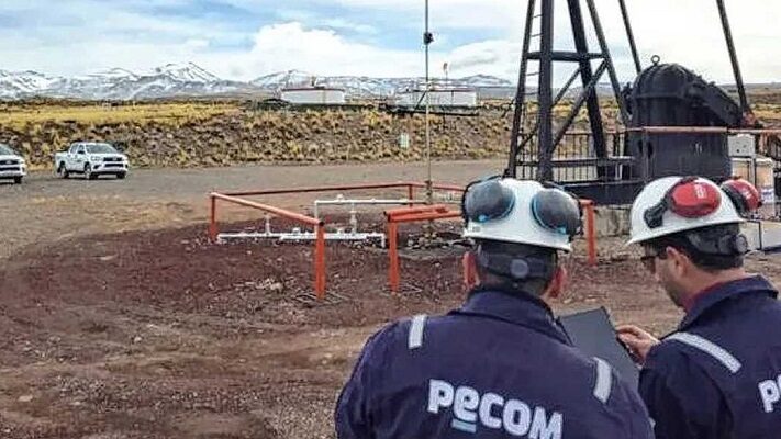 Clave Política, Instituto Argentino del Petróleo y Gas, PeCom, YPF