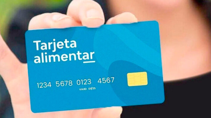 AUH, capital humano, inflación, Plan Alimentar, sandra petovello