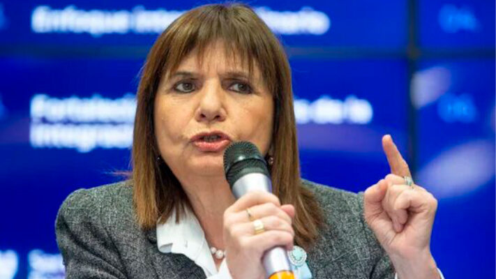 incendios forestales, Patagonia, Patricia Bullrich, Senado