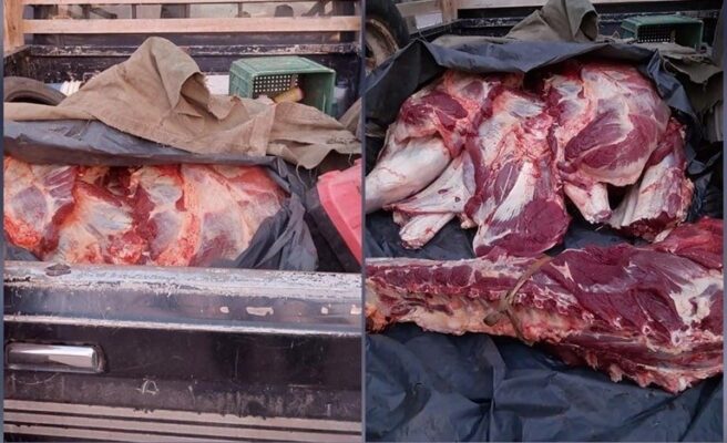 Carne, decomiso, Trevelin