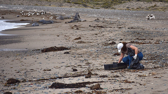 basura, isla escondida, medioambiente, Plan de Censo y Limpieza Costera, plásticos, Residuos, Santa Isabel