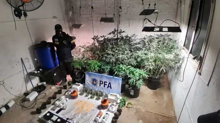 Allanamiento, Madryn, marihuana
