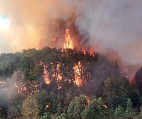 alerta, fuego, incendio, Nahuel Huapi, Río Negro