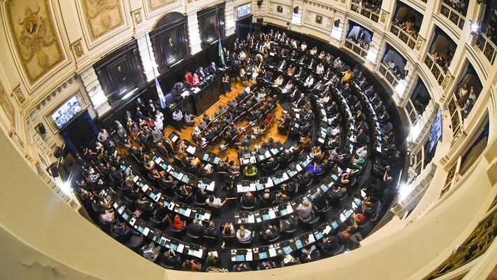 Legislatura de Buenos Aires, Organización de las Naciones Unidas, Viviana Guzzo