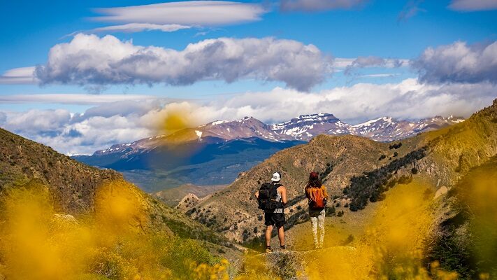 Parque Nacional Los Alerces, RUTA 40