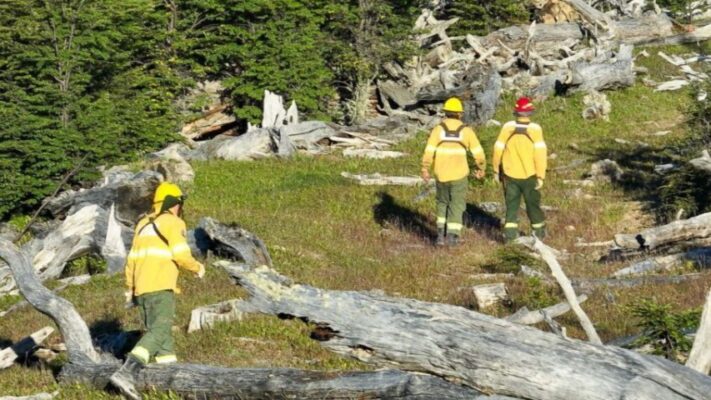 incendios forestales