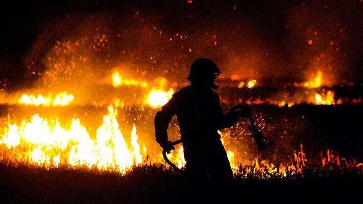 FAO, incendios forestales, medioambiente, noticias