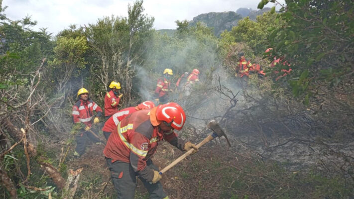 brigadistas, epuyén, incendio forestal