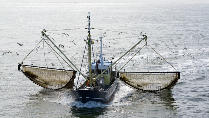 Francia, medioambiente, noticias, pesca de arrastre