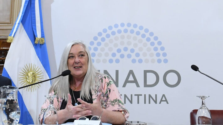 edith terenzi, Minería, Senado