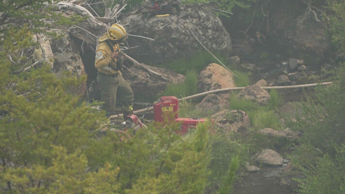 incendio forestal, PARQUE NACIONAL LANIN