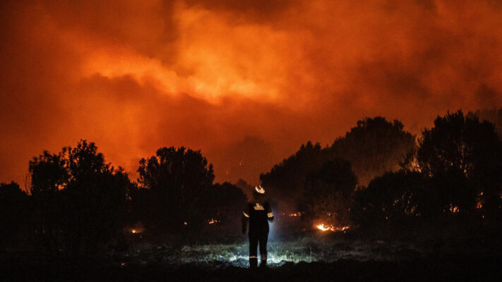 incendio forestal, Neuquén, PARQUE NACIONAL LANIN