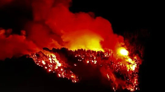 incendio-los-alerces.jpg