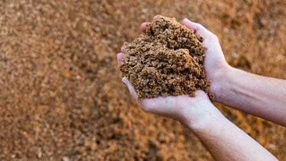 cerveza, medioambiente, noticias, Residuos, veganismo