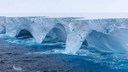 El iceberg más grande del mundo encalló frente a la isla de Georgia del Sur